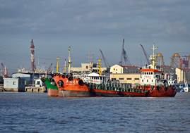 mmexport1764041877855